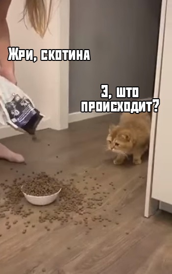 С ума сошла, что-ли?!