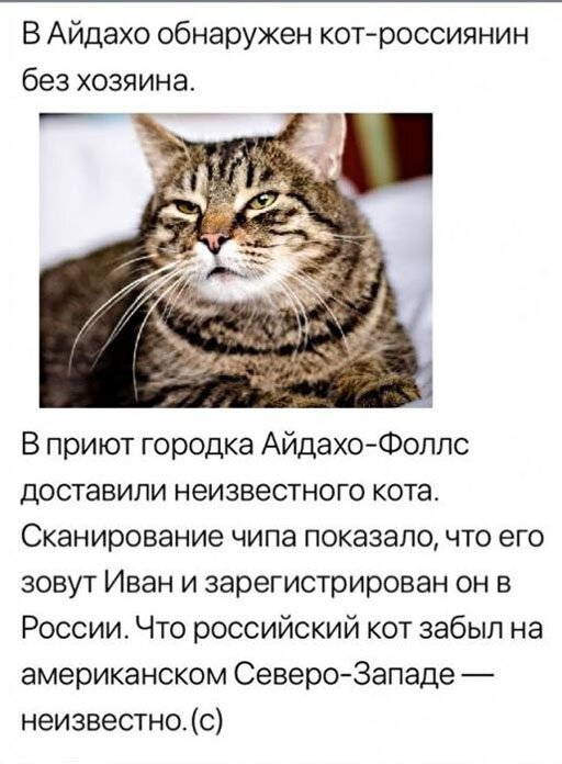 Чуток картинок! 15.01.2020