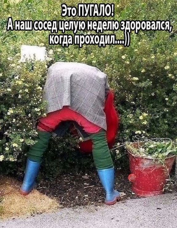 Уже скоро: подборка картинок про дачу!