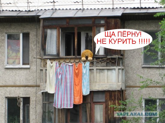 Конкурс: подпись к картинке