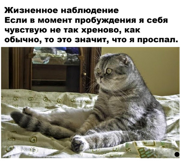 Немного картинок для настроения 20.06.20
