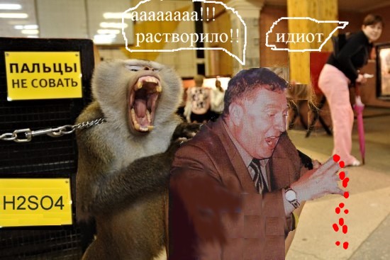 Фотожаба: Не совать!