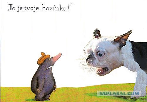 Хозяин, ты что?