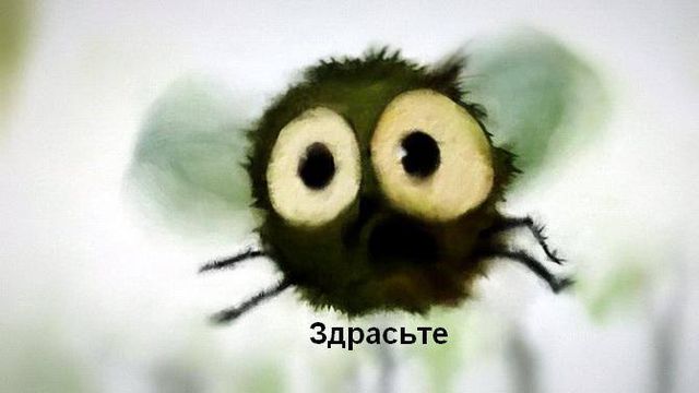 Бредзона 02.09.20