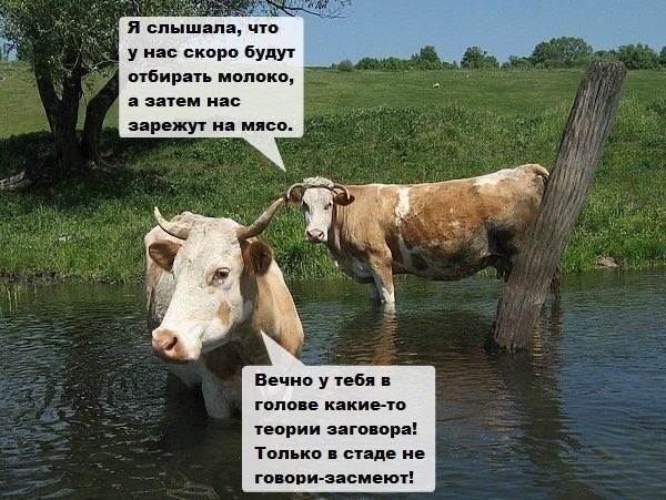 Передвижные камеры в Москве станут выявлять нарушителей самоизоляции
