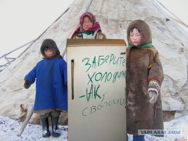 Холодильник в общаге