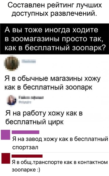 Немного картинок для настроения 05.11.20