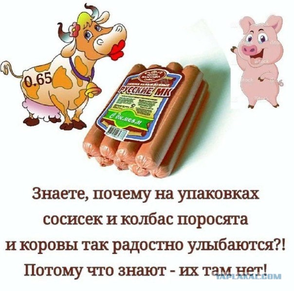 Почему я ем мясо. 5 аргументов в споре с вегетарианцами