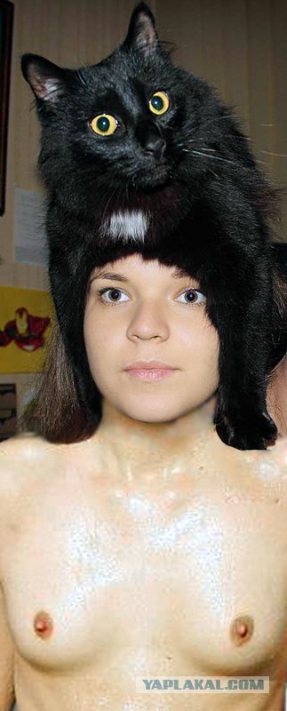 Эпичный кот