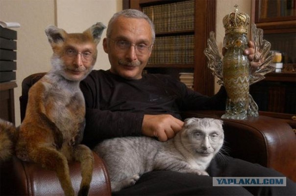 Таксидермия + наркомания