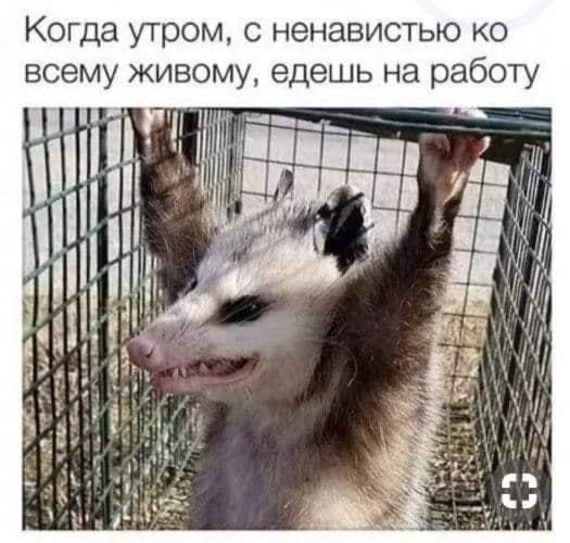 Разные картинки 01.02.2021