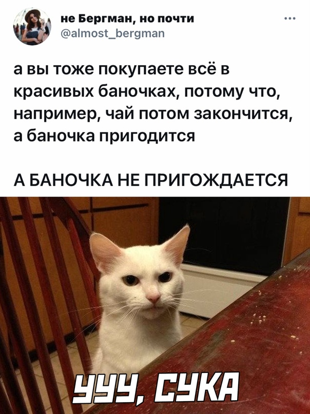 Весёлый полтишок 13.03