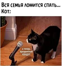 Картинки с надписями и всякие жизненные фразы 27.03.21