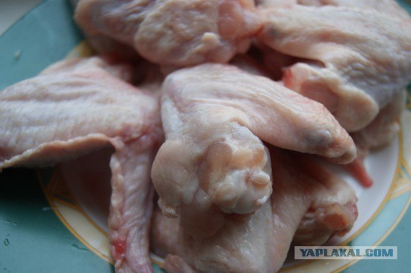 Ноги, хвосты… главное – крылья!, Кура-International–2, куриные крылья