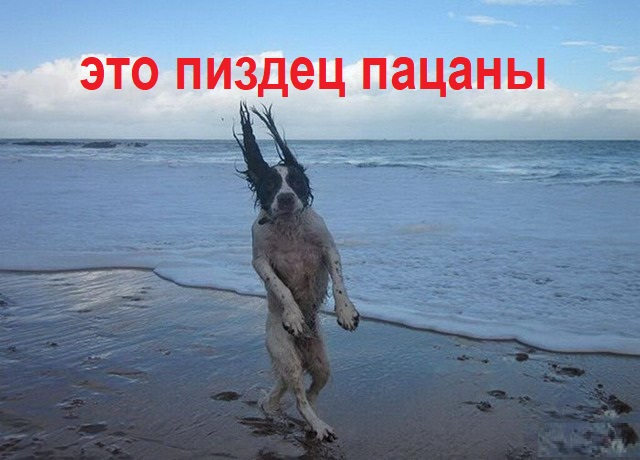 Соцсети и их фантастические обитатели 28.06.2021