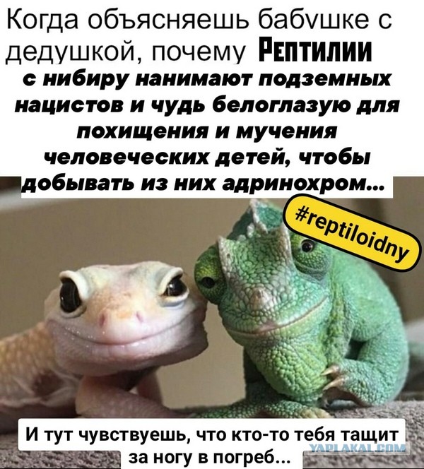Пуля дура,шприц молодец