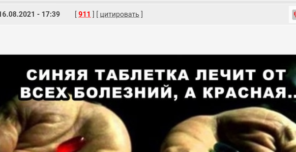 Весёлый полтишок 16.08