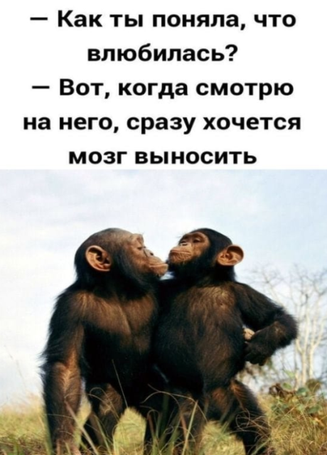 - Чем будете удивлять?