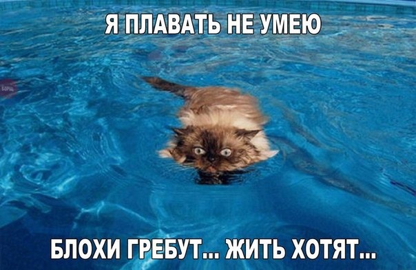Так себе картинки 29.10.21