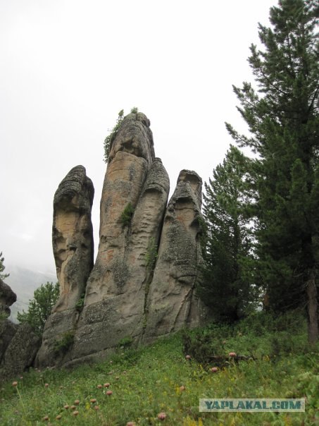Алтайские красоты