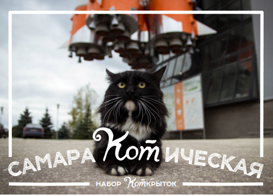 С праздником и котофторником!