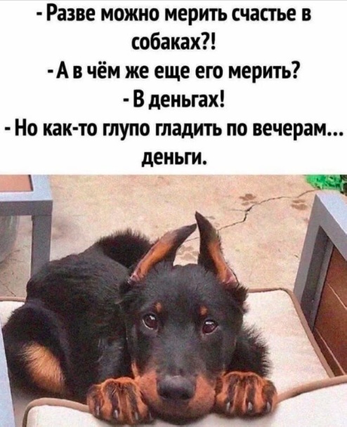 Немного картинок для настроения - 114
