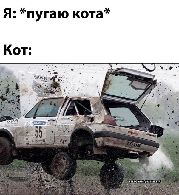 Картинки и мемы для настроения - 17