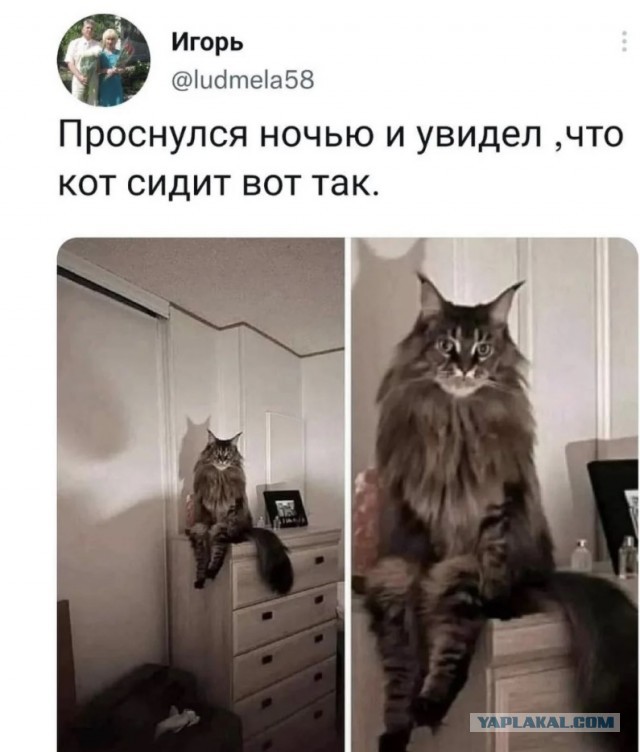 Тупняк на понедельник. 17 шт.