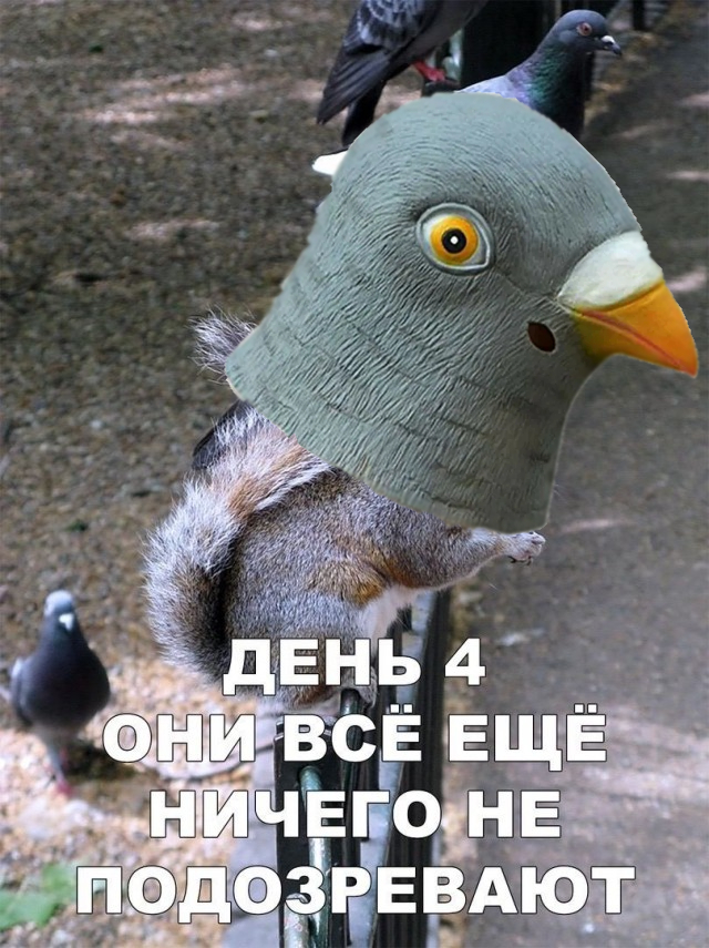 Картинки и мемы, всем хороших выходных