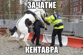 Кентавры - самые загадочные существа греческой мифологии
