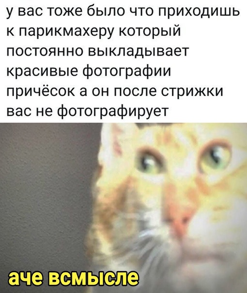Весёлый полтишок 15.04.24