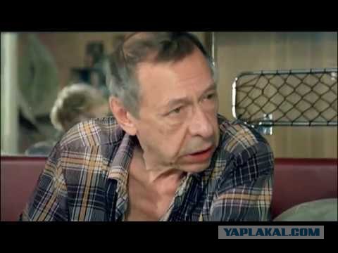 Захарова: тысячи жителей ряда стран НАТО приходят в посольства России за ВНЖ