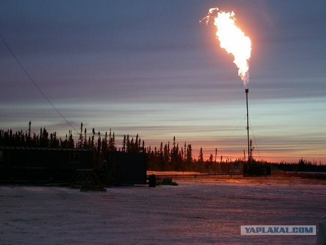 Зачем сжигают попутный газ?