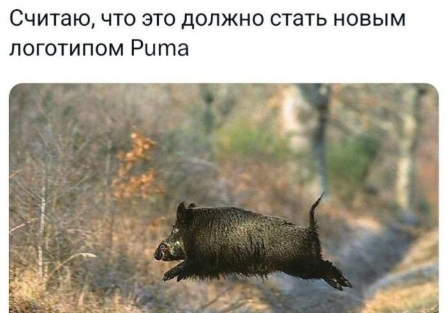 Так себе картинки 18.05.25