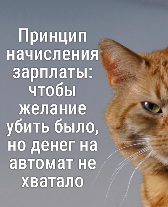 25 грустных, но жизненных мемов про зарплату