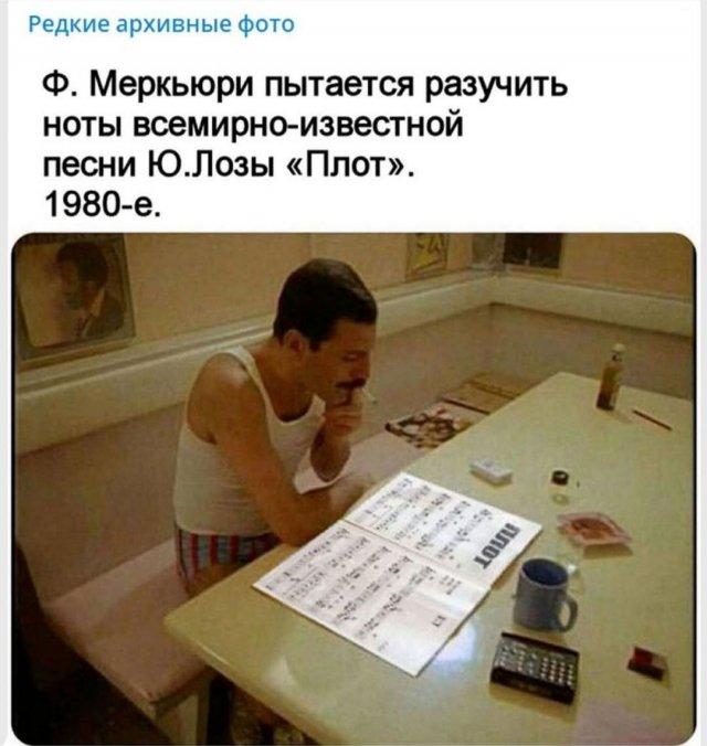 Картинки для деградации 84 (разной степени свежести)