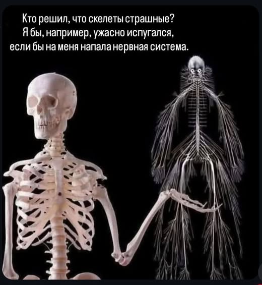 Четверговые картинки