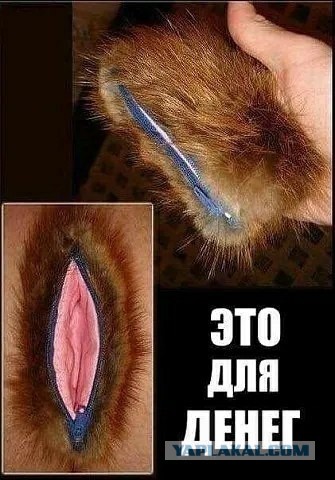 Женская сумочка