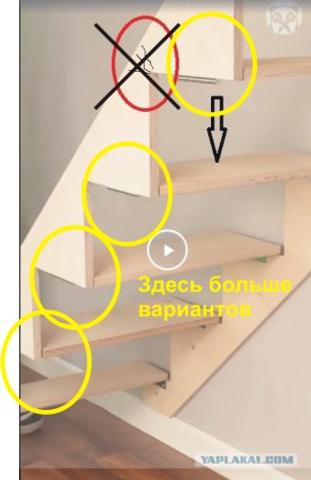 Сумоист убил строителя лесенки