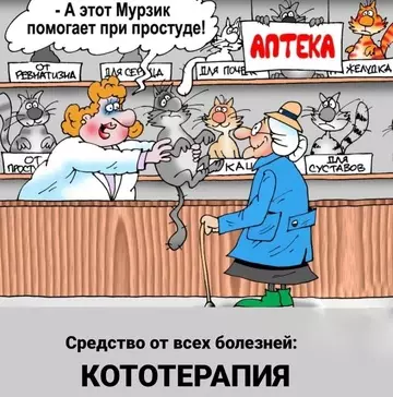 Картиночки, баянчики 06 марта