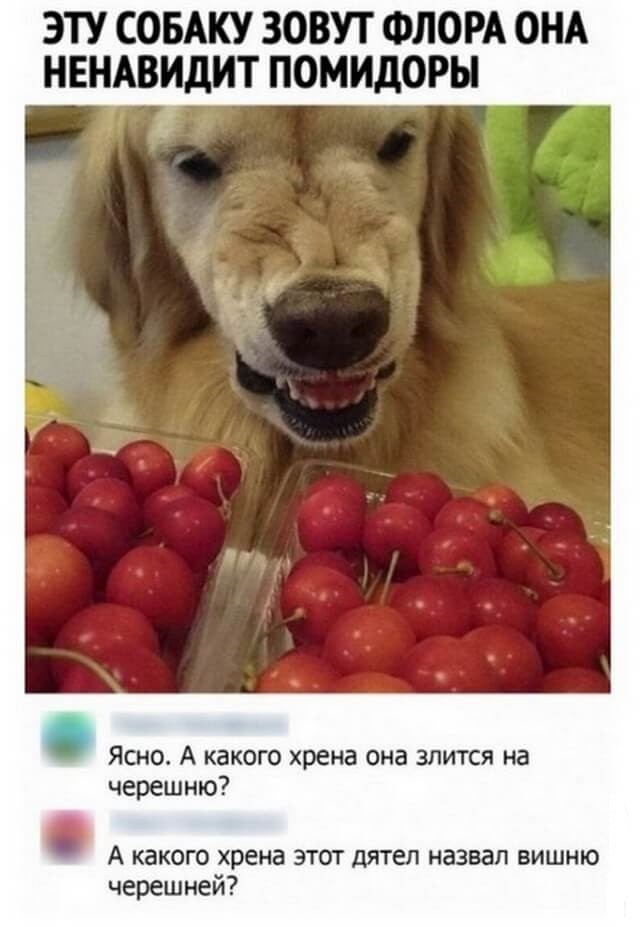 Веселые картинки в пятницу (17.04)