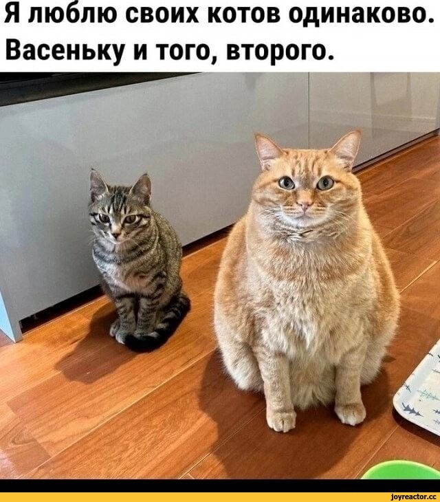 Когда радуете одного ребёнка,не забывайте дарить радость и второму
