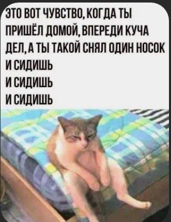 Картинки для деградации 197 (разной степени свежести)