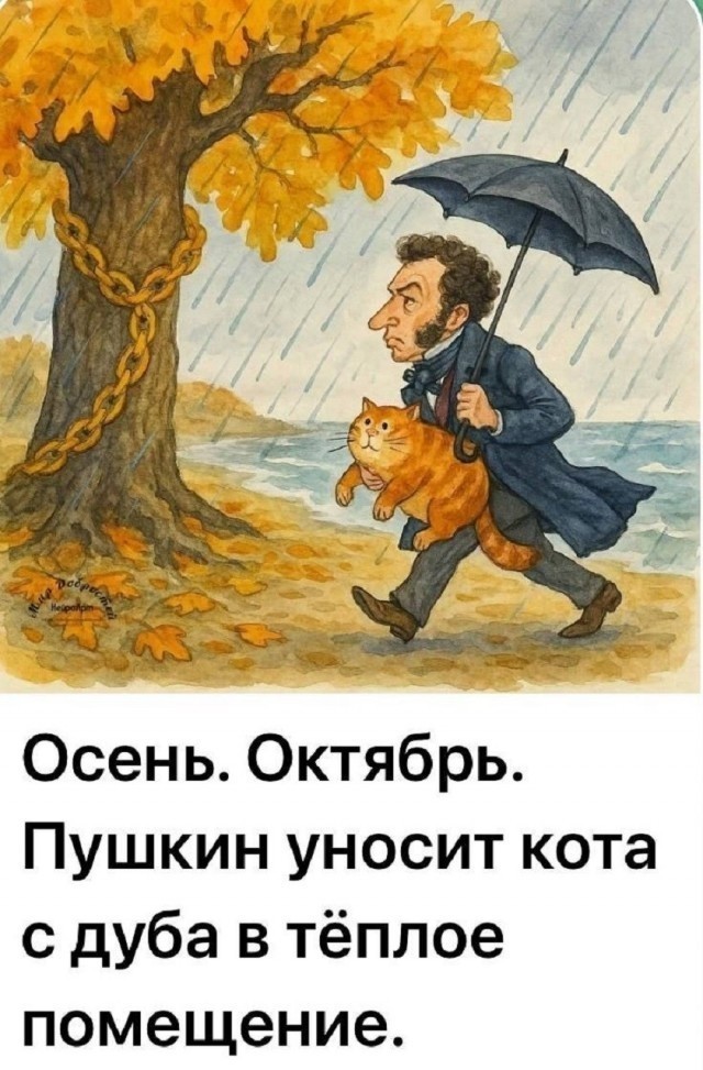 Потная гамсахурдия №6 (Картинки)