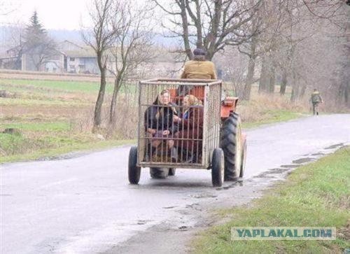 Мы живём в самой прекрасной стране на свете...