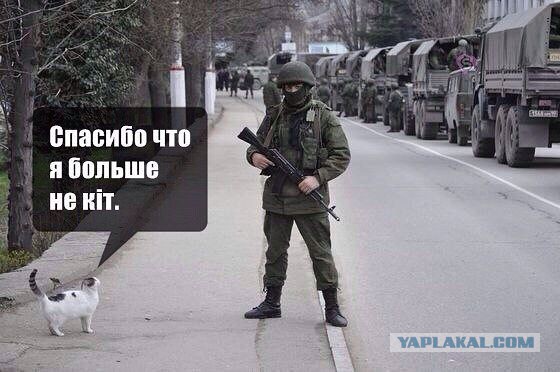 Крым. Референдум. Пора домой.