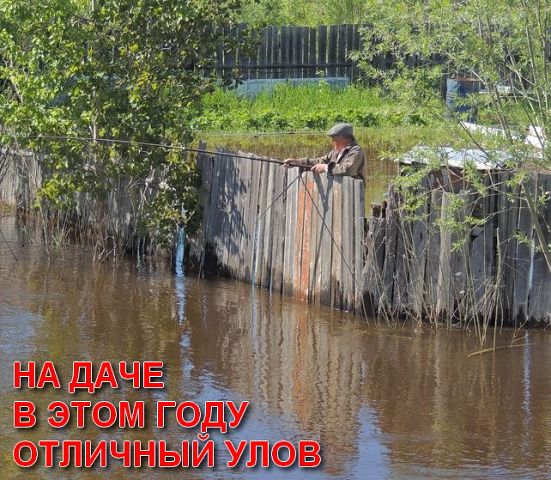 Деревенская Америка