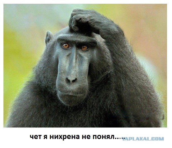 Смешное из соц сетей