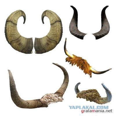 Ищу папу детям и себе мужа...