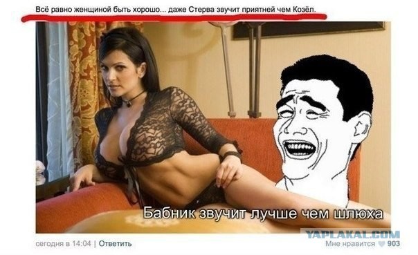 Комментарии из сети